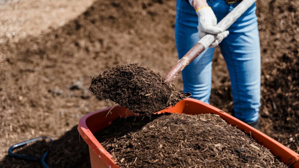 mulch