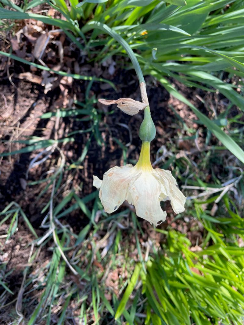 Applying Herbicides Carelessly