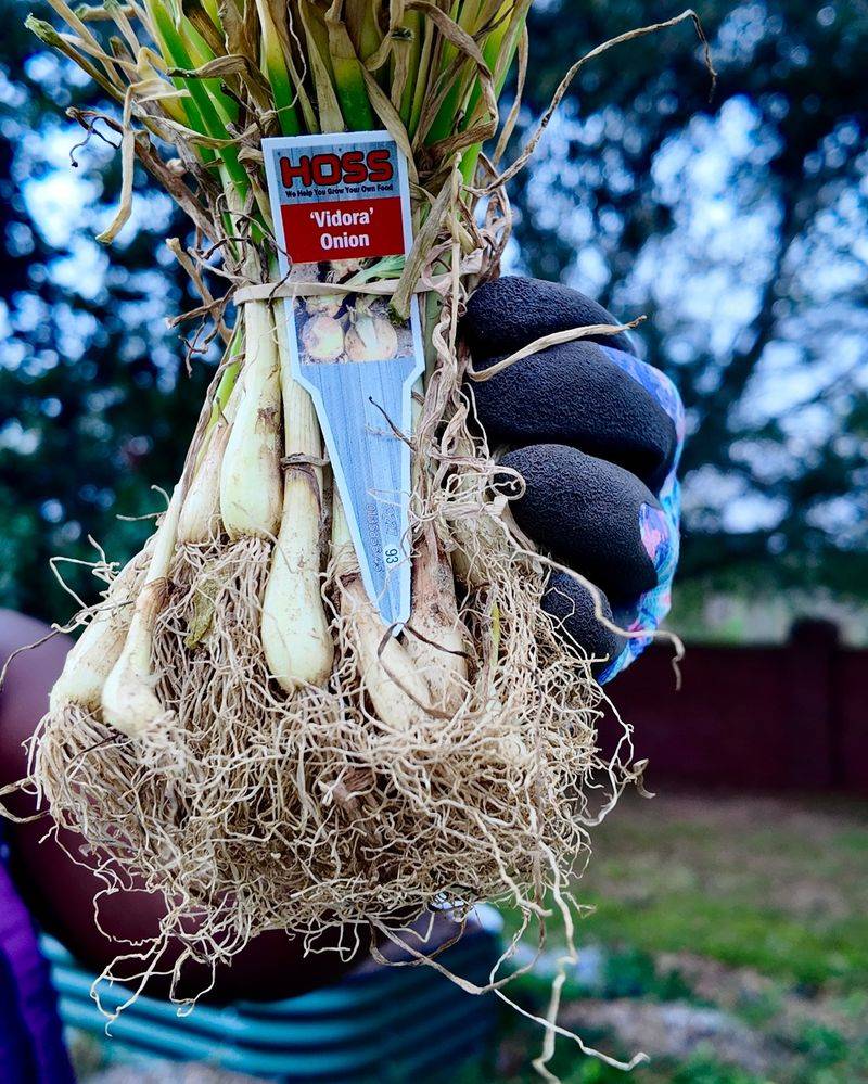 Synchronize With Soil Biology Activity