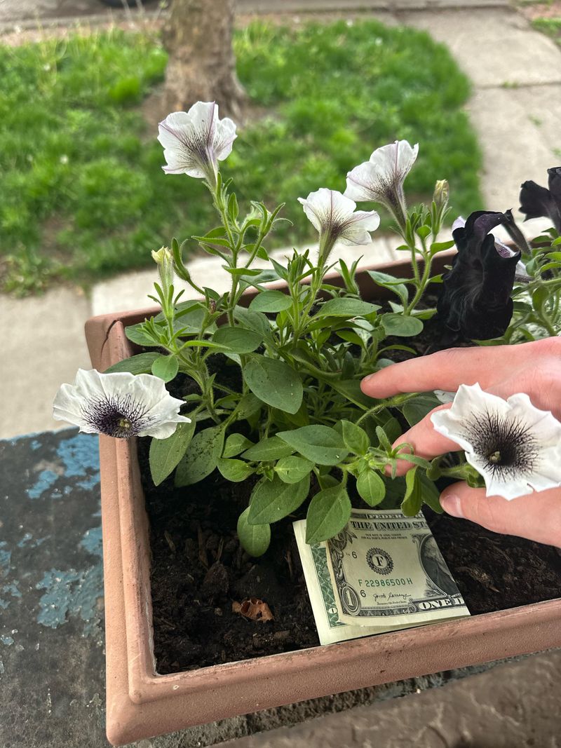 Overwintering Techniques