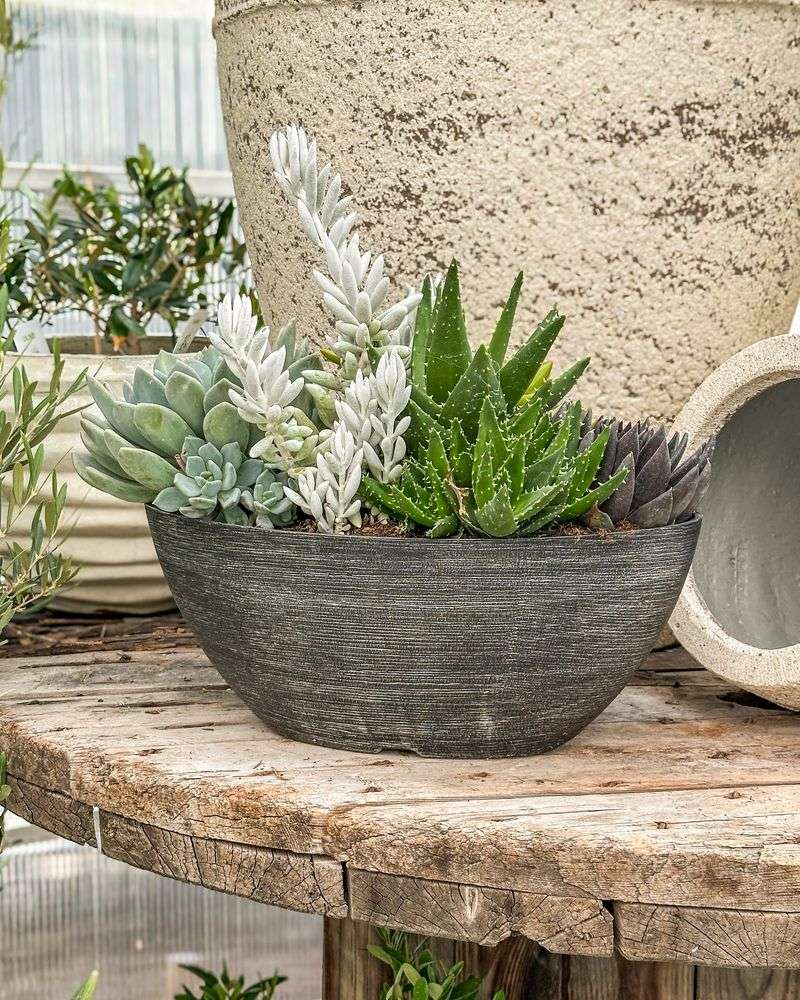 Concrete Bowl Gardens