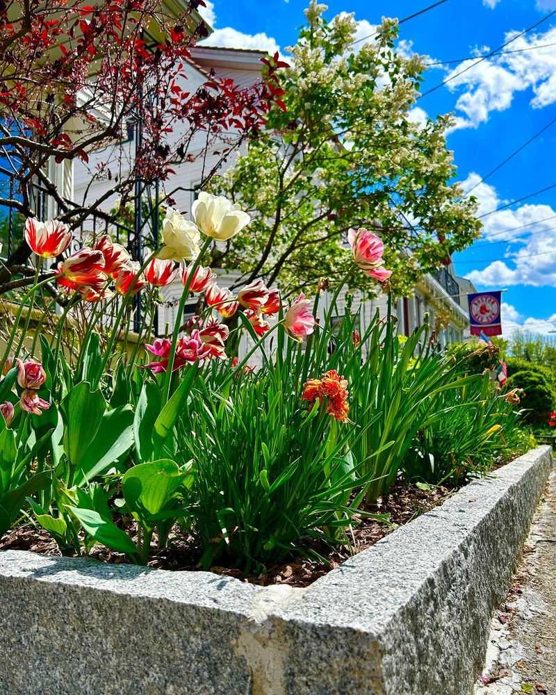 Raised Bed Borders