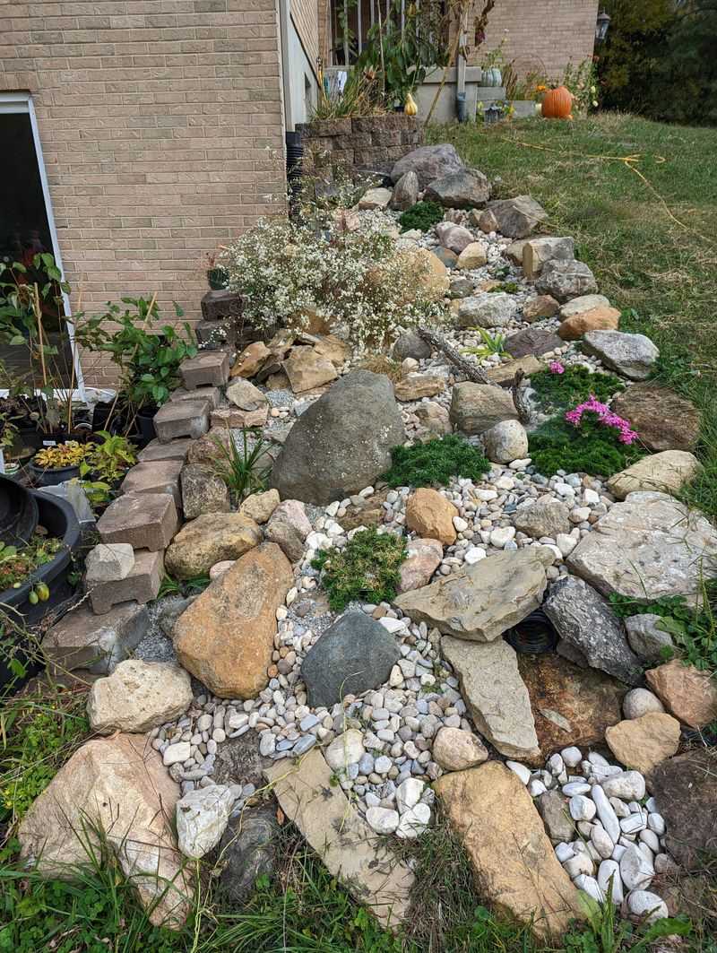 Woodland Edge Rockery