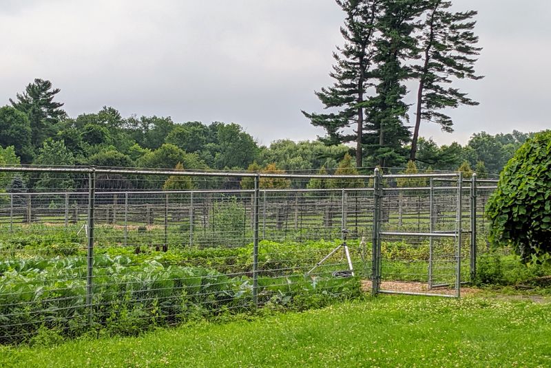 Clean Garden Maintenance