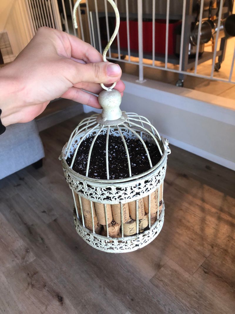 Decorative Birdcages