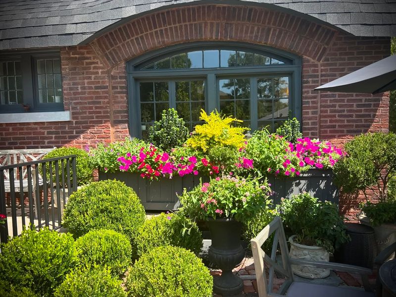 Window Box Wonder