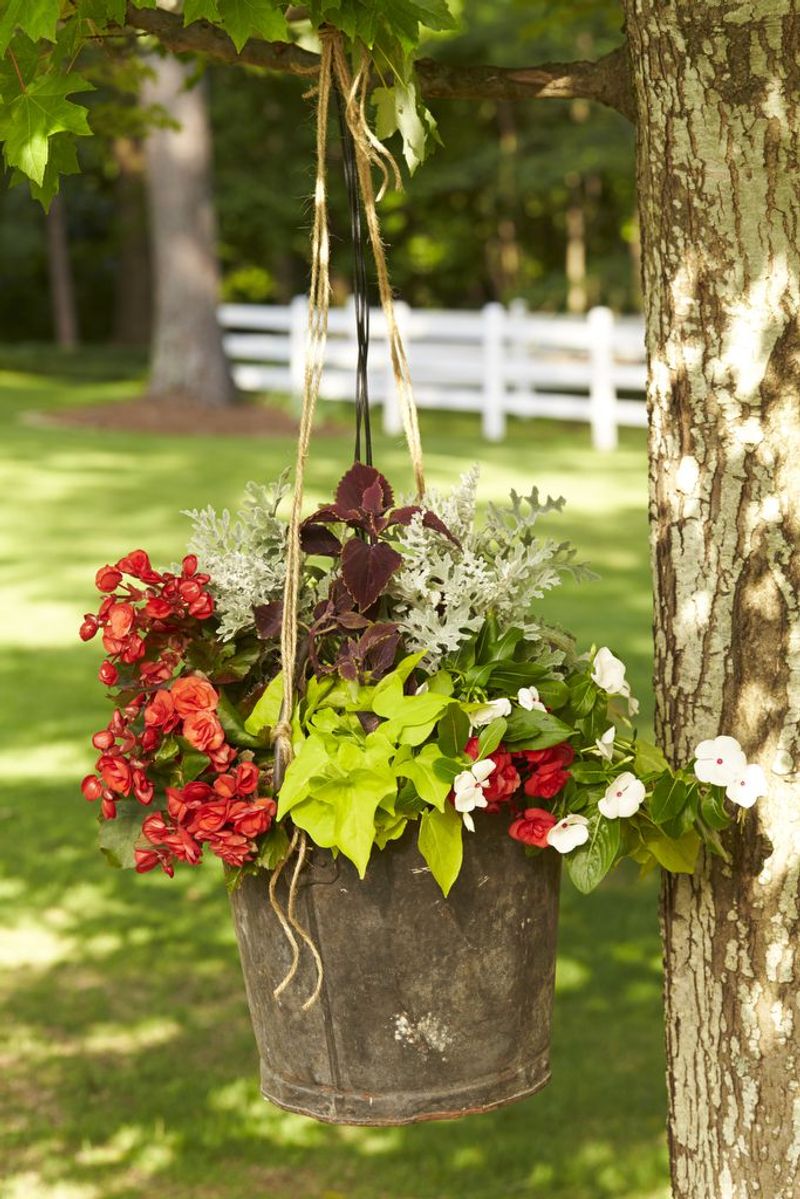 Hanging Metal Buckets