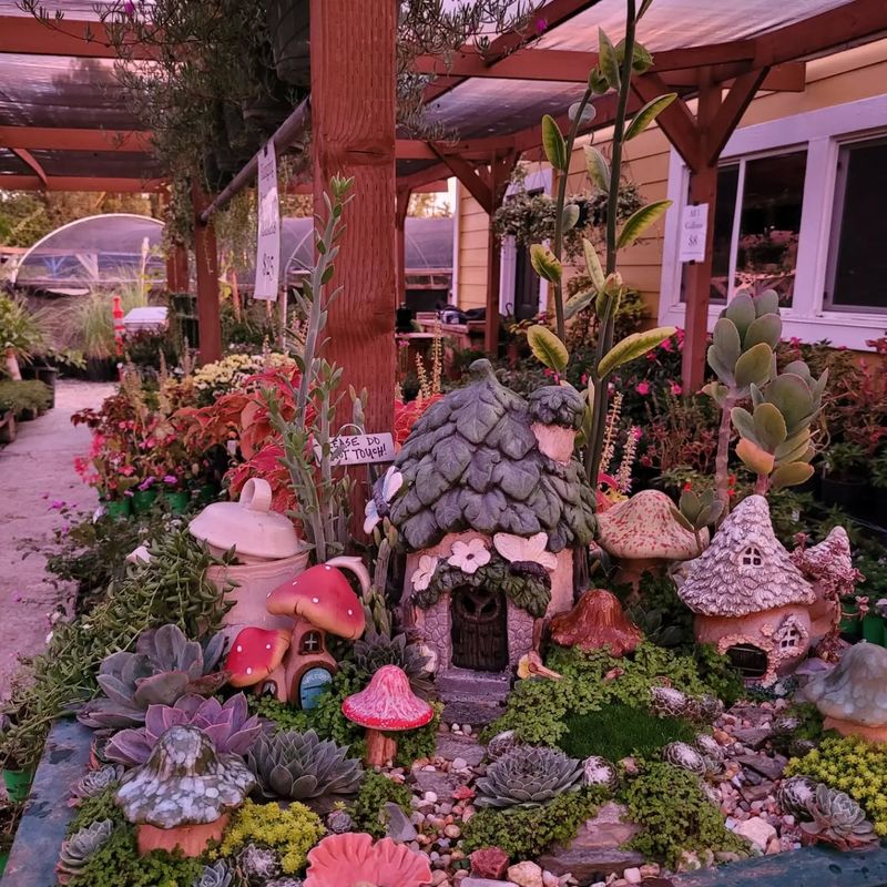 Fairy Garden Landscapes