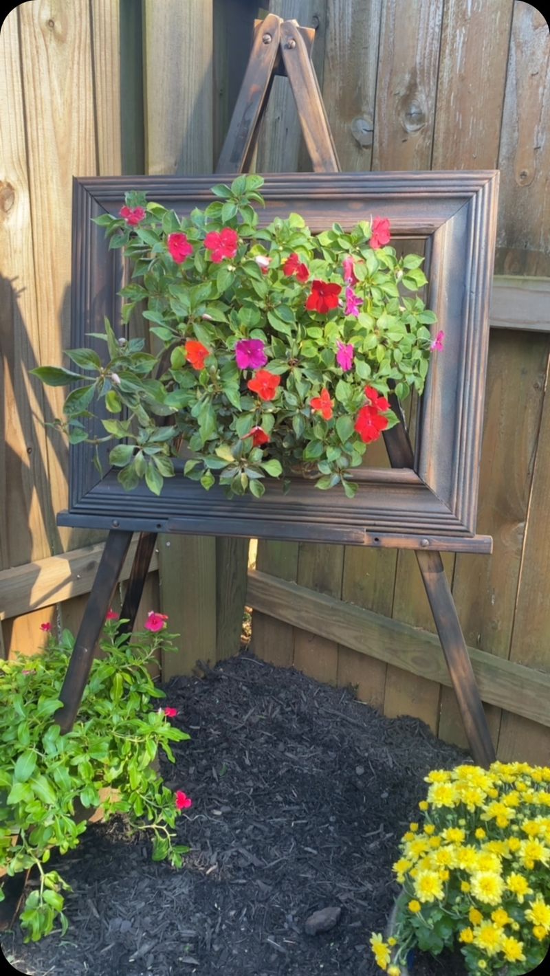 Ornate Picture Frames