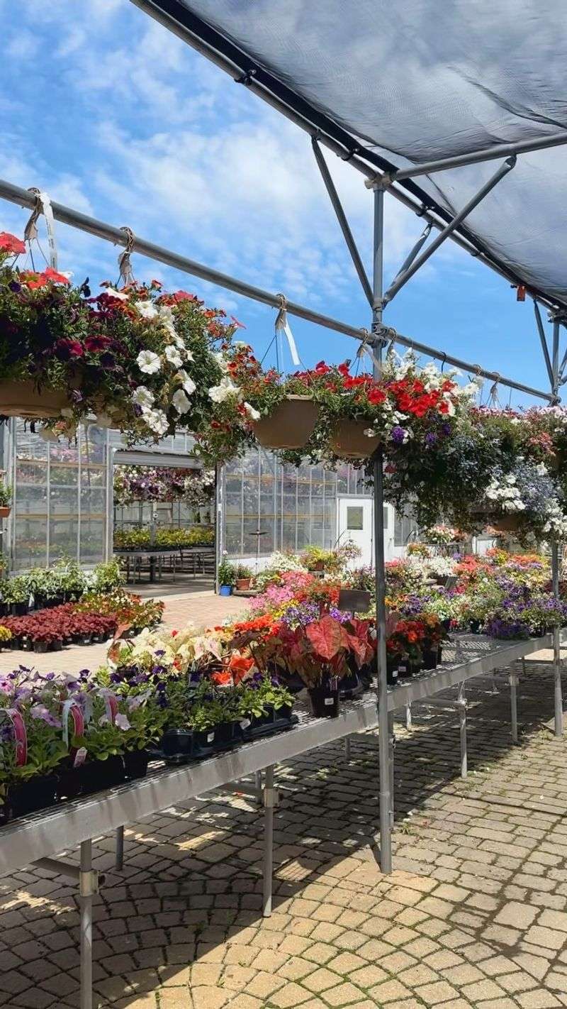Over-Reliance on Annual Flowers