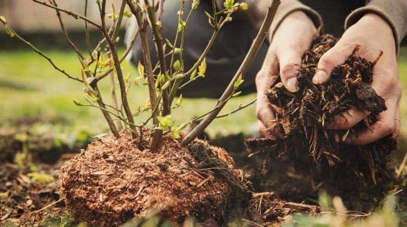 Prevent Soil Compaction