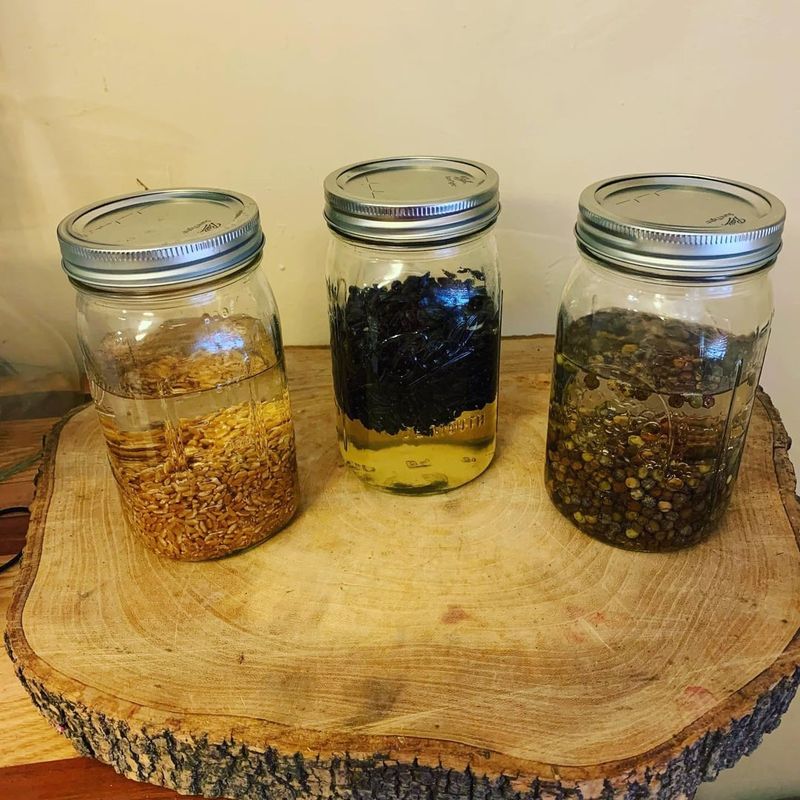 Enhanced Nutrient Uptake