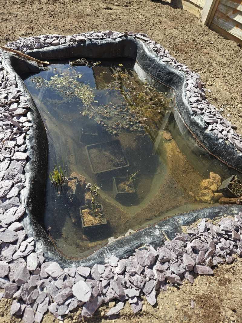 Mosquito Breeding Grounds