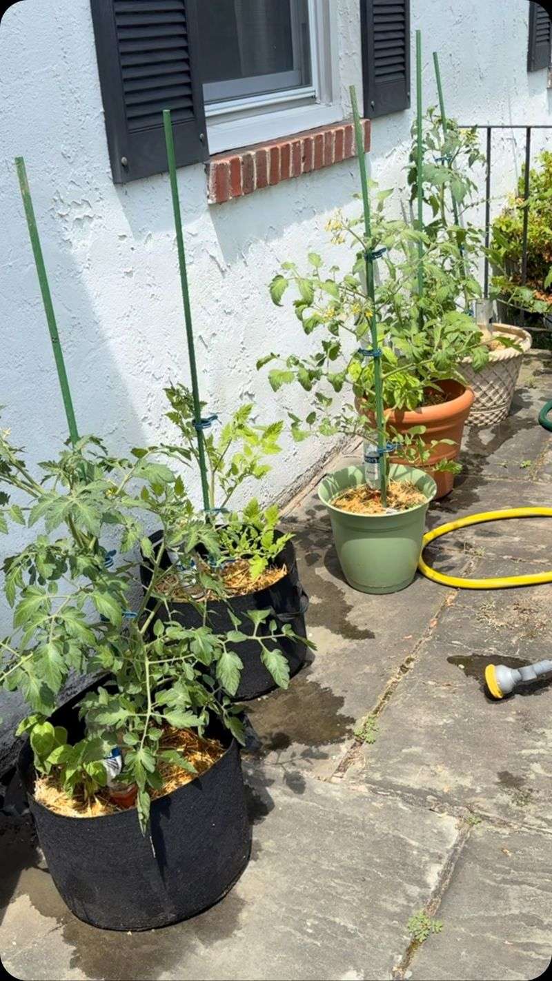 Nutrient Management Strategies