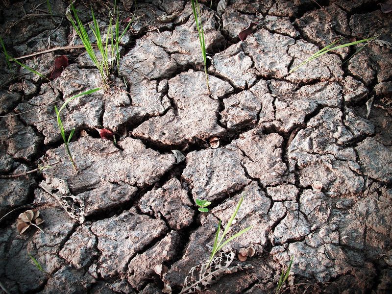 Cracked, Hard Surface During Dry Spells
