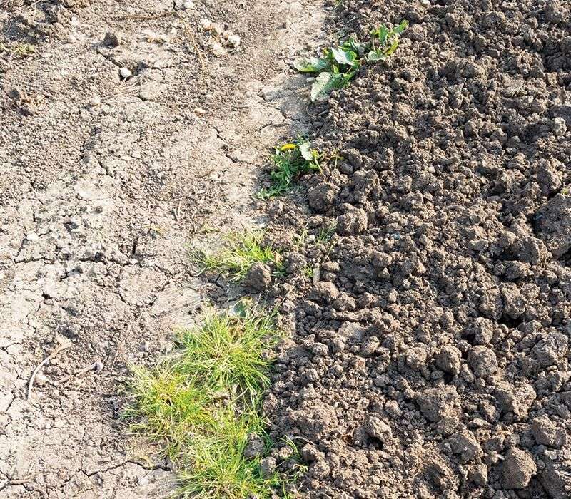 Compacting Soil By Walking On Beds