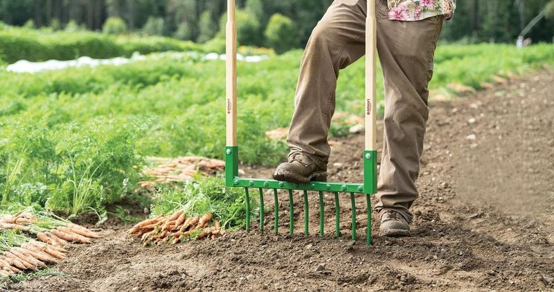 Compacting Soil With Heavy Footsteps