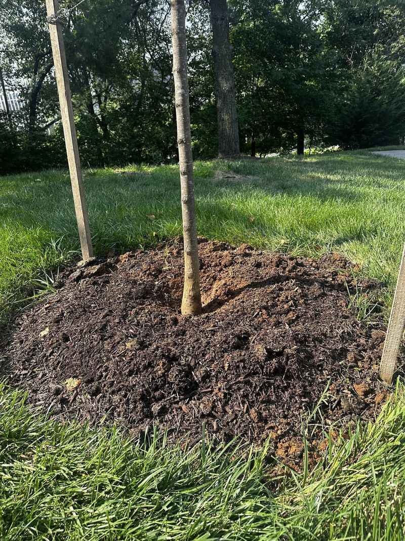 Mulching Methods