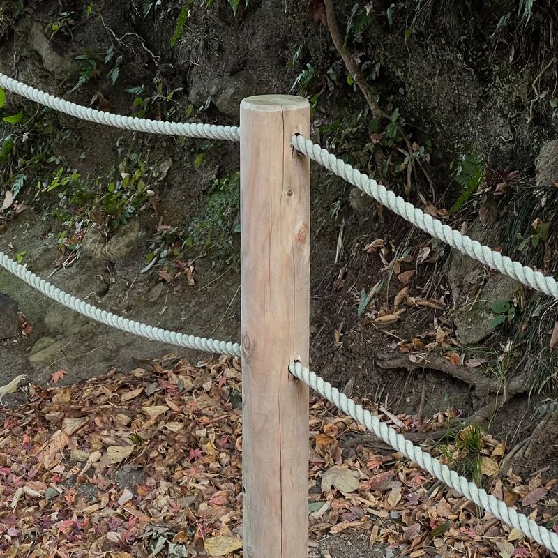 Horizontal Rope Design