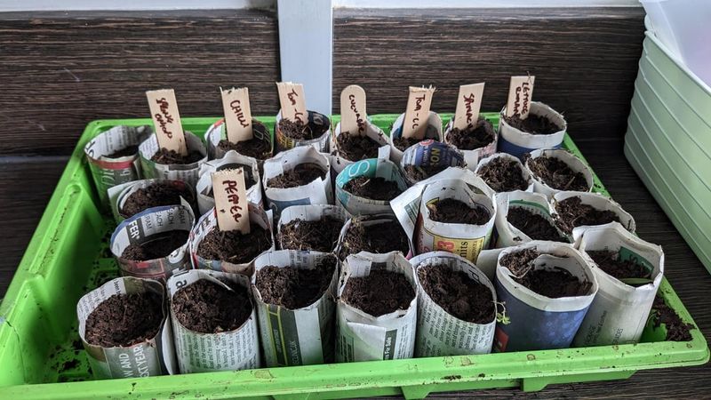 Seed Starting Medium