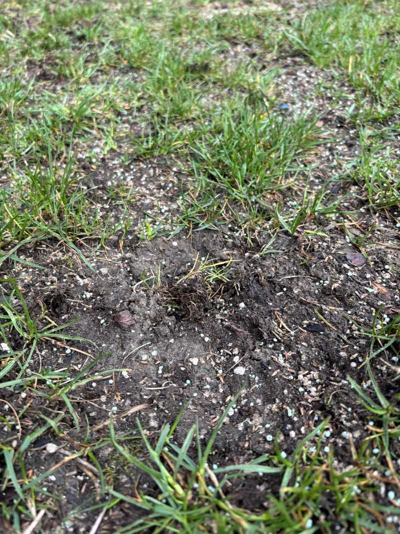 Aeration Benefits