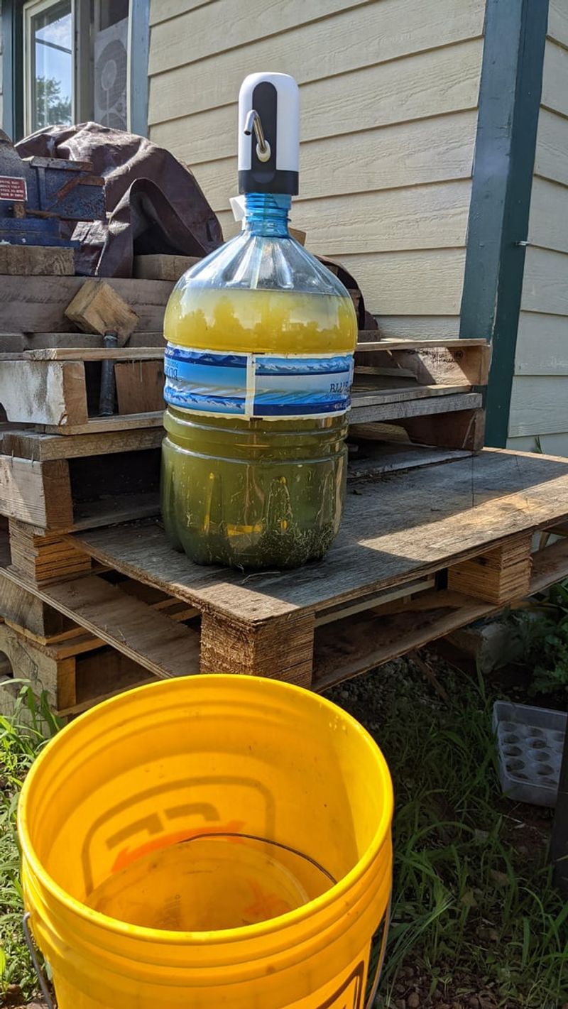 Fermented Weed Juice