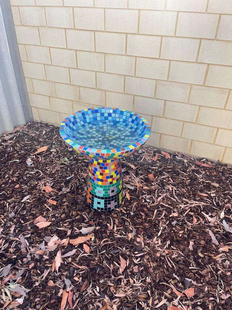 Small Birds Can Get Trapped
