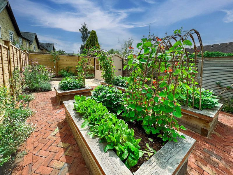 Heritage Vegetables