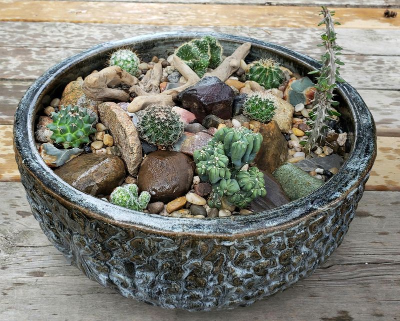 Pumice Stones