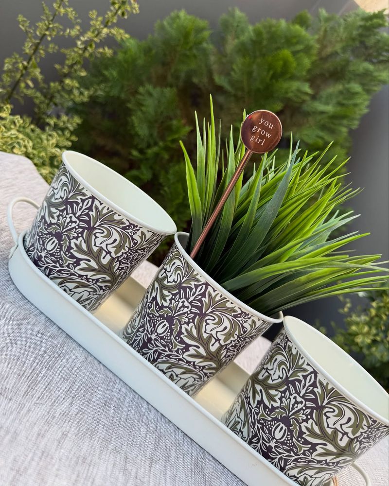 Coffee Can Herb Holders