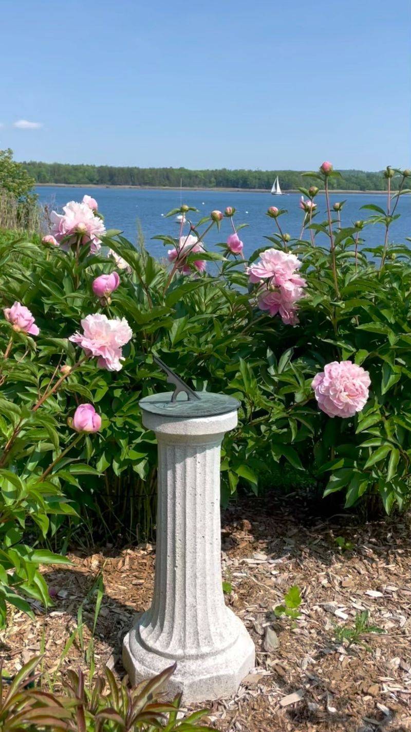 Fragrant Peony Collection