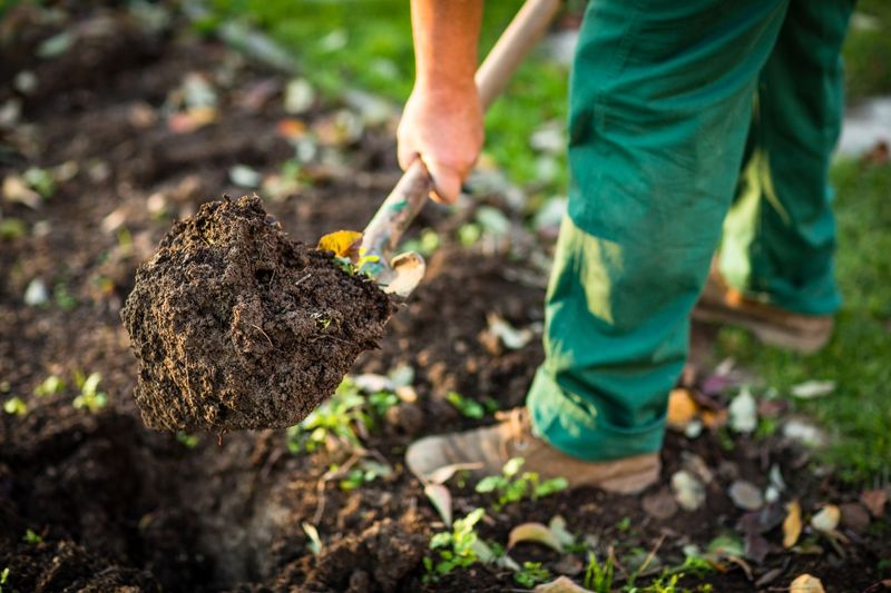 Ignoring Soil Health