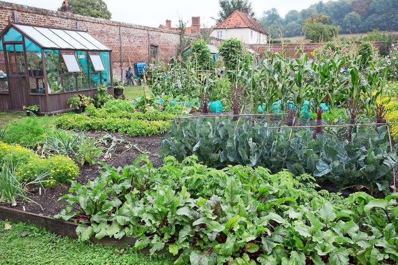 Crop Rotation Prevents Problems