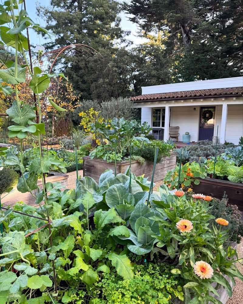 Edible Front Landscape