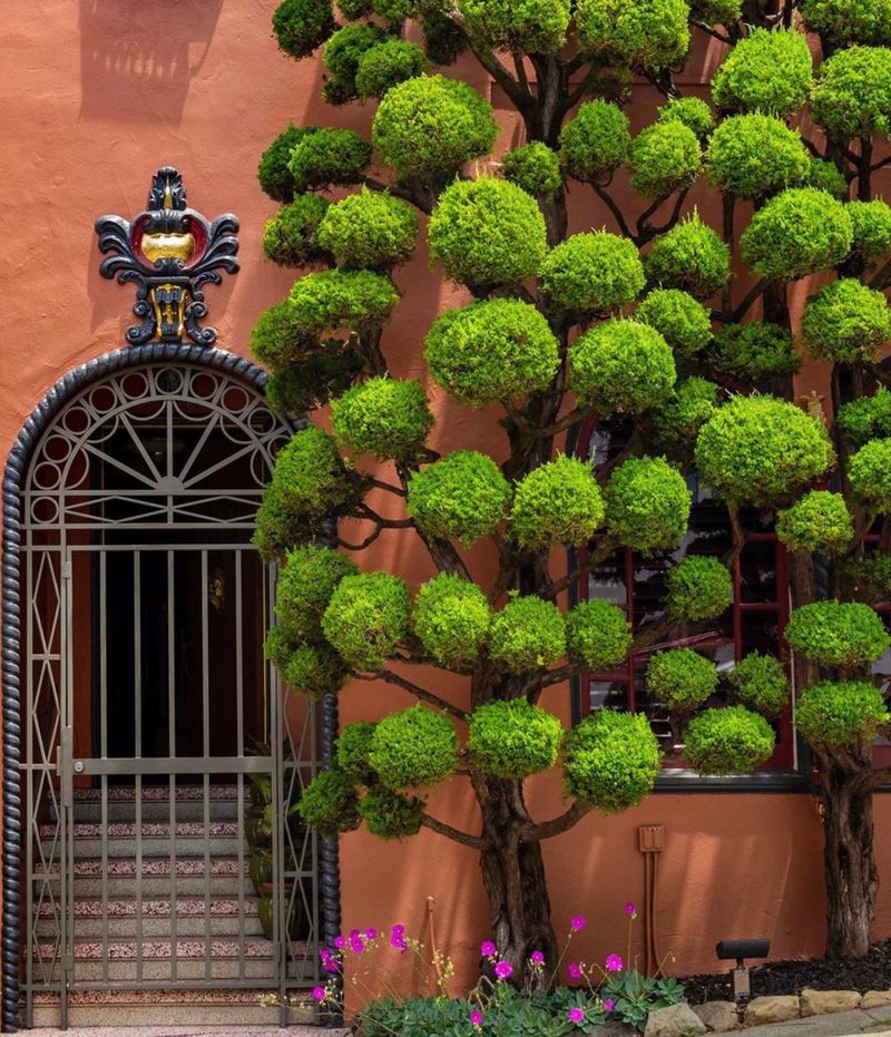 Elaborate Topiary