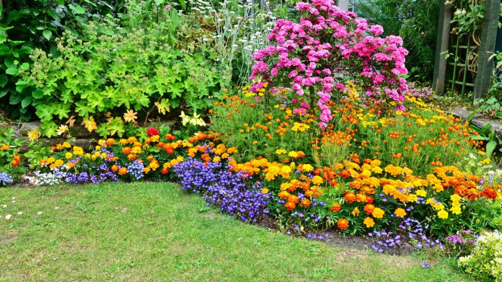 flower bed border