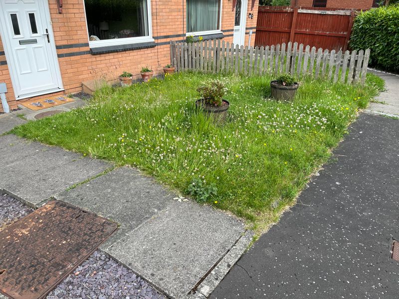 2. Overgrown Edge Vegetation