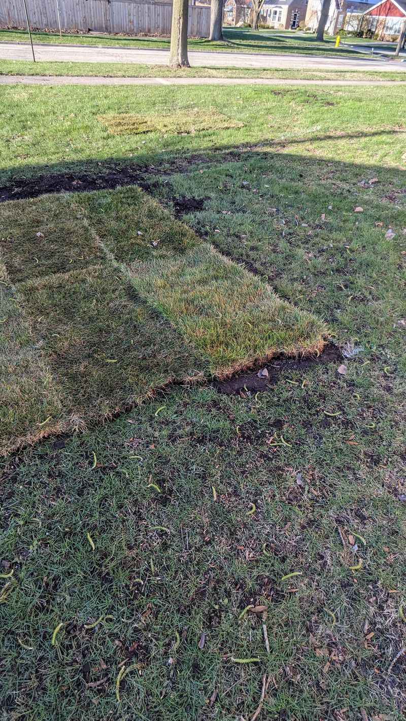 2. Poor Ground Preparation