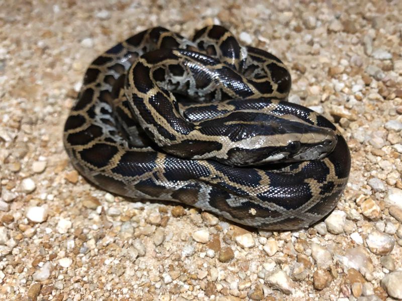 2. Florida