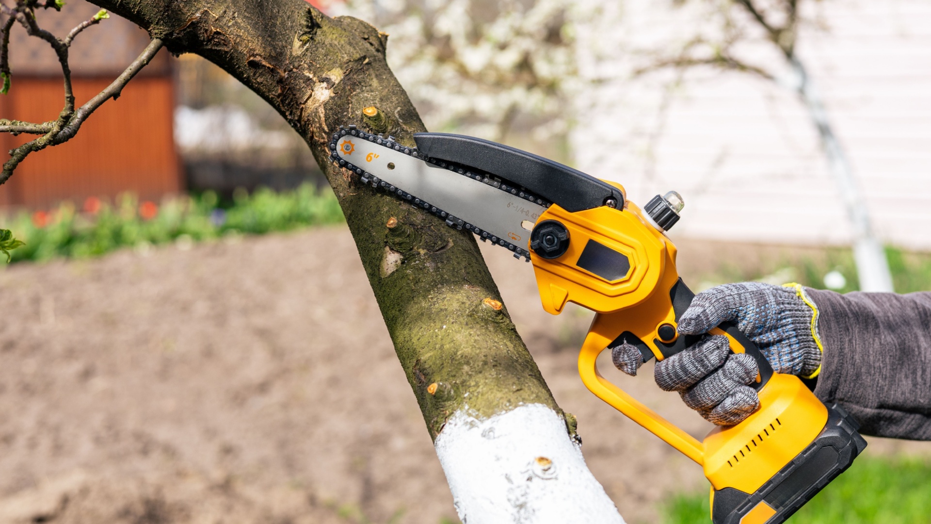 mini chainsaw
