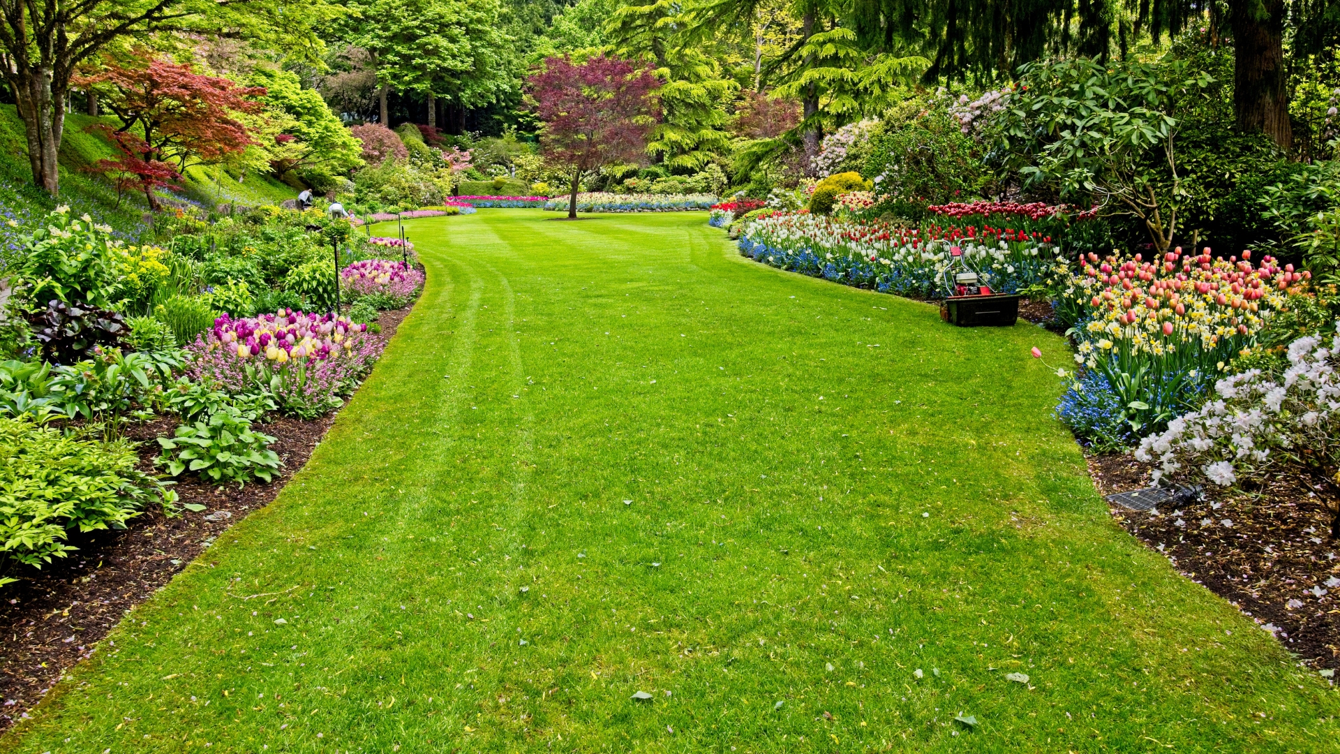 garden