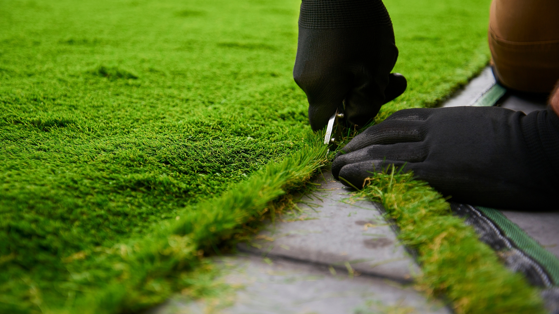 10 Common Yard Features Facing Bans Across America (Plus Safer Alternatives You’ll Love)