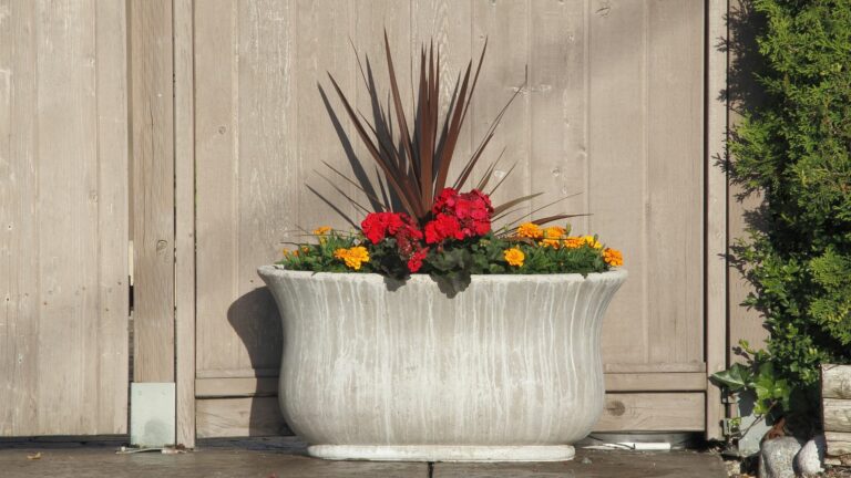 large planter