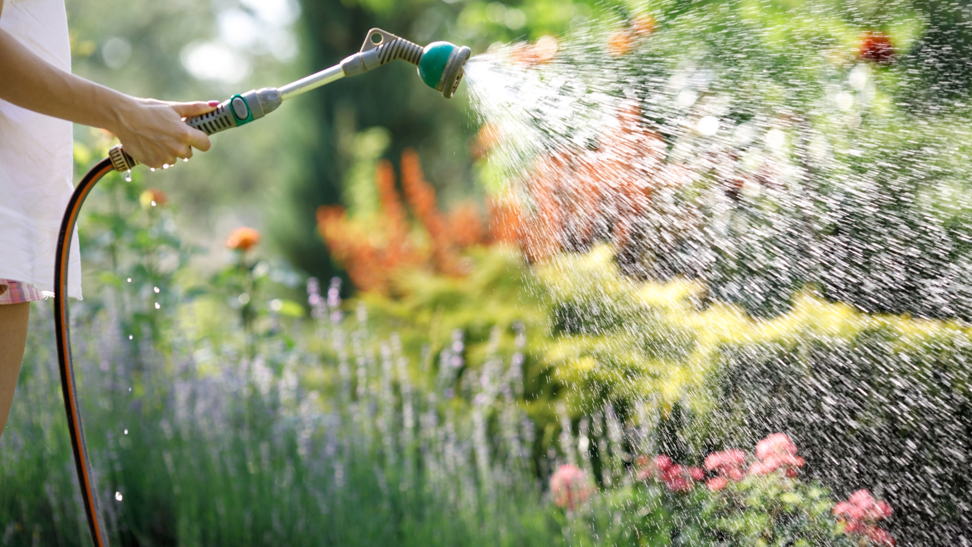 garden hose