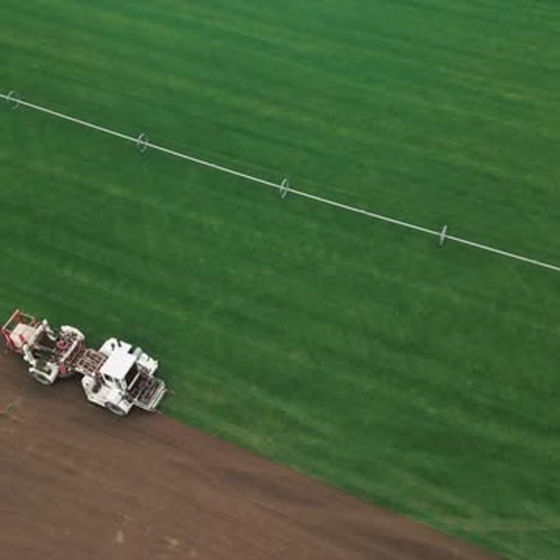 11. Forgetting To Roll The Installed Sod