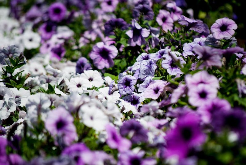 11. Create Stunning Color Combinations