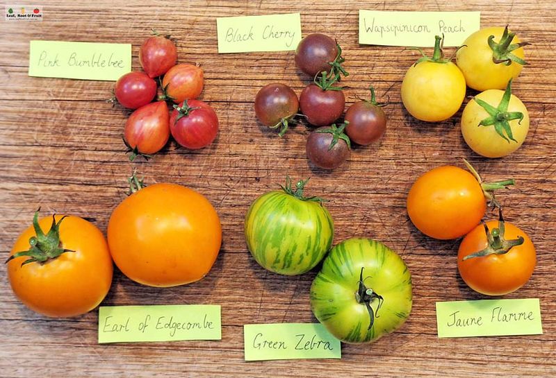 11. Wrong Variety For Your Climate