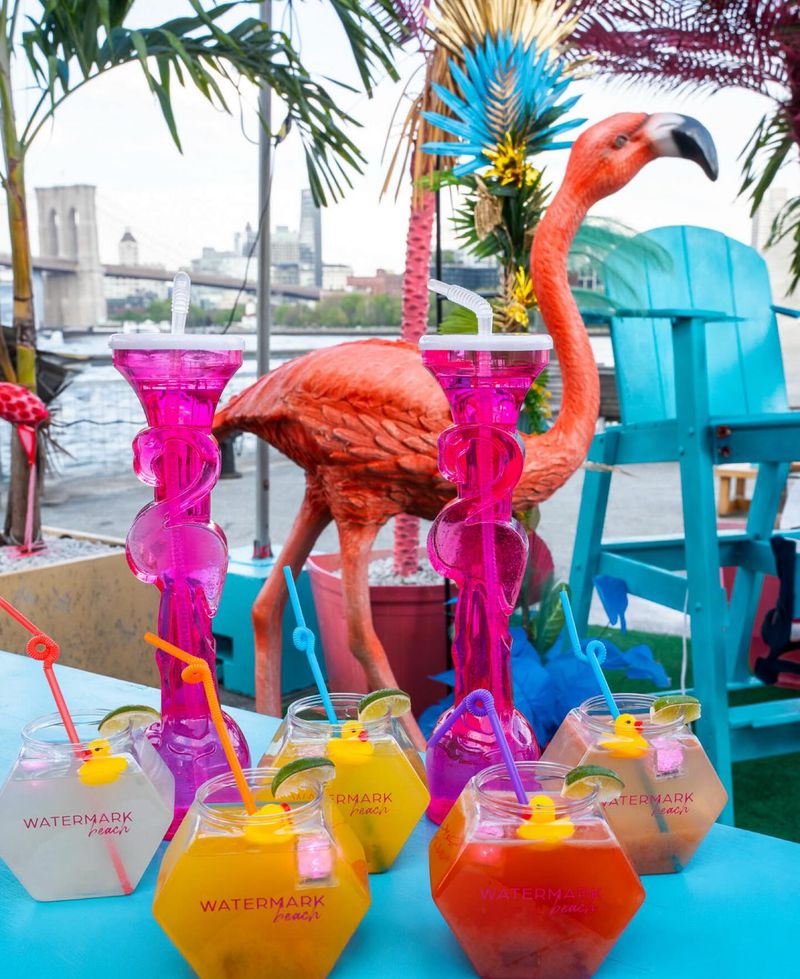 Never: Plastic Flamingos