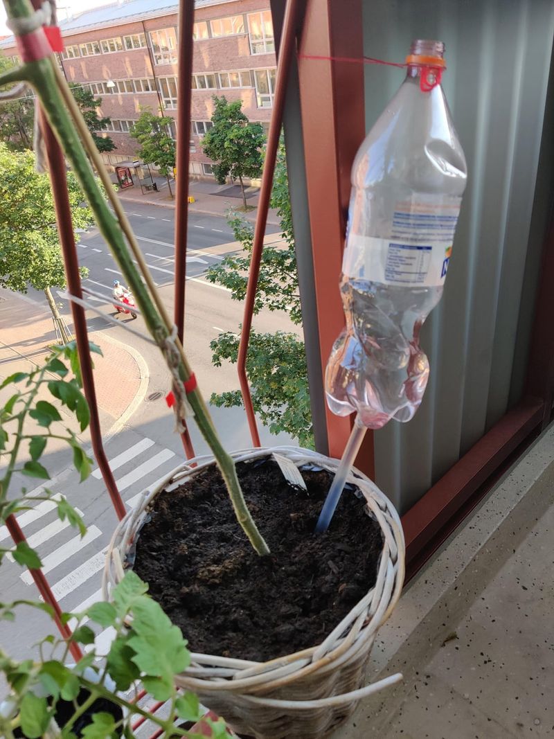 Deep Watering System