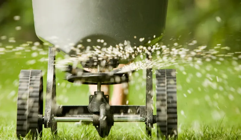 12. Applying Fertilizer Too Soon